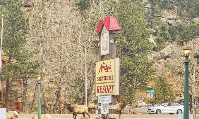 Estes Park Hotel | Dream River Front Suites R4