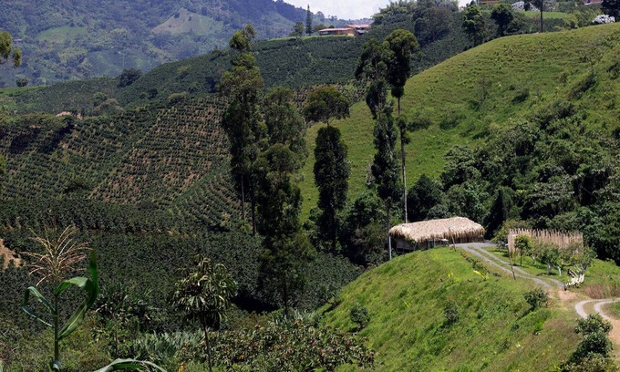 La Estrella Cabin | Eco Hotel Glamping El SIlencio