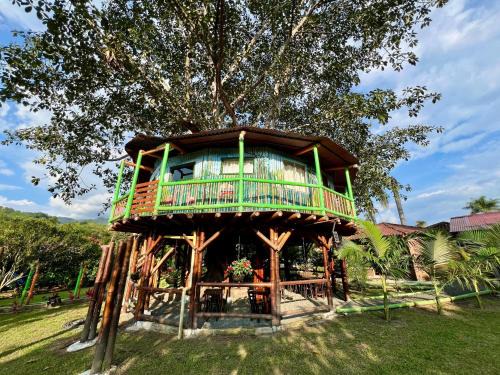 Pereira Hotel | Eco Hotel Green Eden