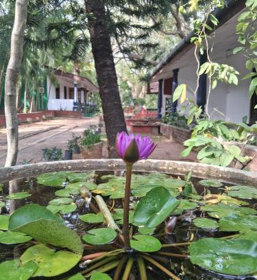 Moragaswewa Cabin | Eco Nature Lodge - Habarana