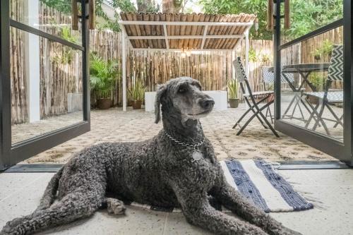 Olongapo Apartment | EIWA Nest Self-Service Apartment - AC, Outdoor Tub, Pet Friendly with a Fee