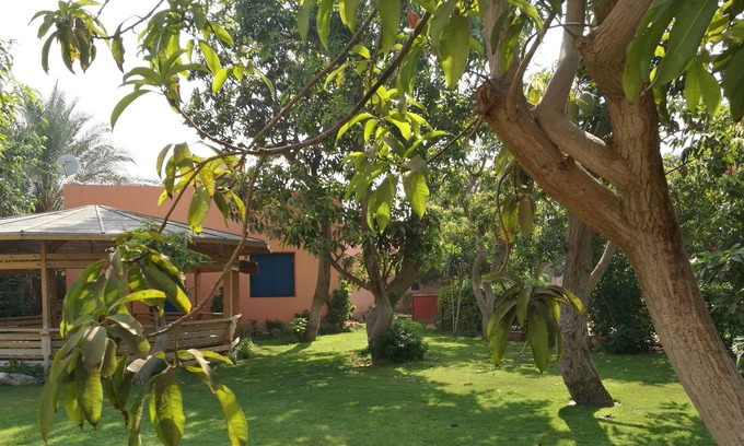 Kafrat al Jabal House | Equestrian guest house - Pyramids Egypt