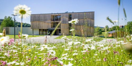 Neuschoenau Hotel | Euler Neuschönau - Naturhotel & Chalets