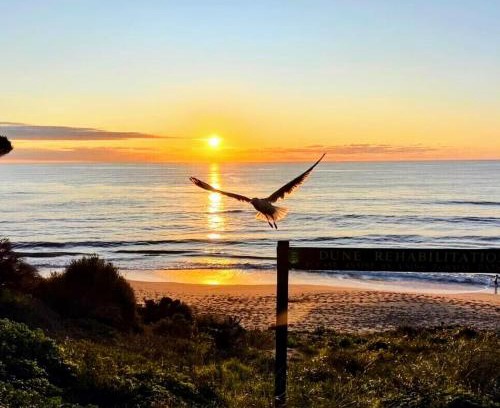 Falcon House | Falcon Family-friendly Bayview Beach House
