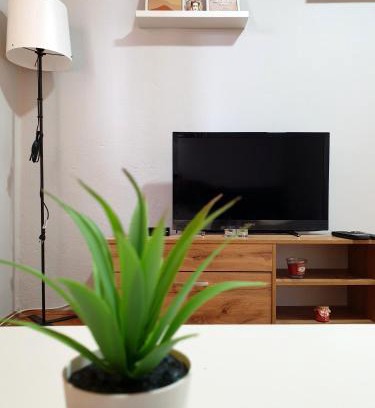 Zajecar Apartment | Fenix Apartman