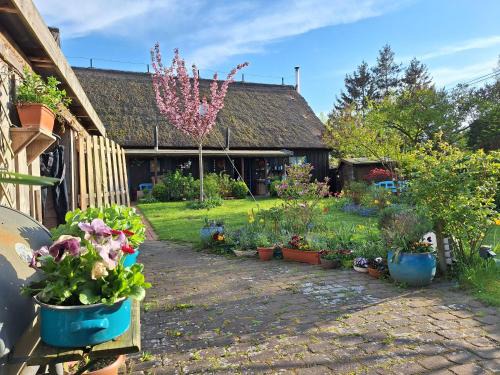 Neuendorf Heide Apartment | Ferienhaus An der Heide