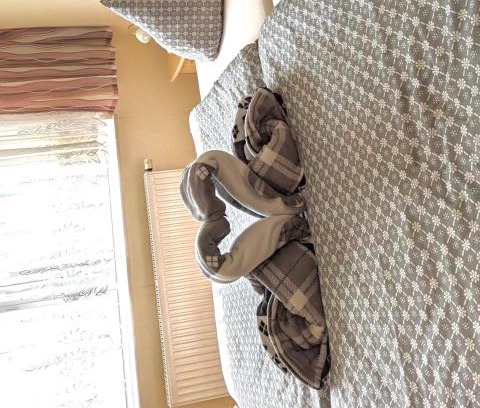 Oberwiesenthal Apartment | Ferienwohnung in Oberwiesenthal