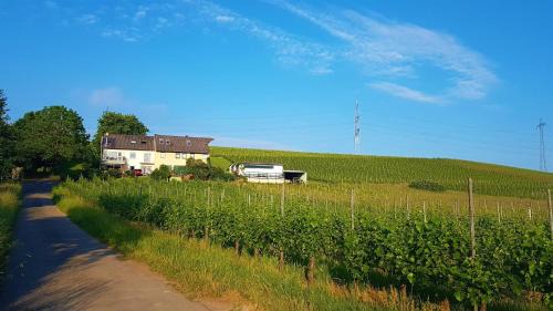 Riol Apartment | Ferienwohnung "Auf Plandert"