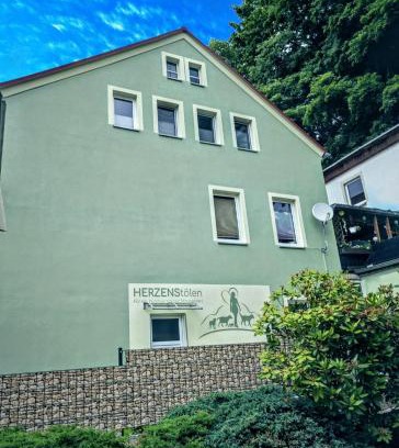 Sebnitz Apartment | FeWo Herzenstölen