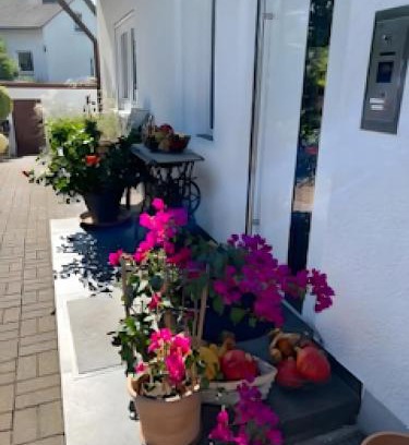 Bad Krozingen Apartment | fewo-wosink