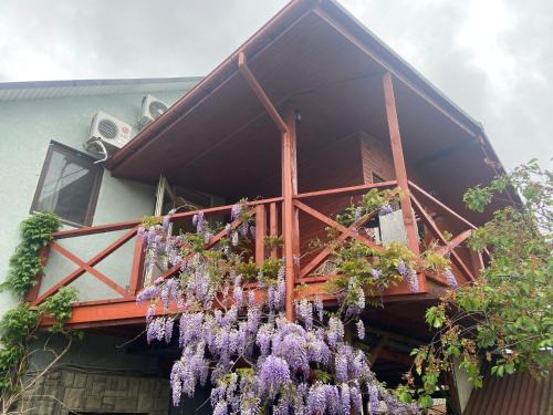 Berehove Bed & Breakfast | FKoka