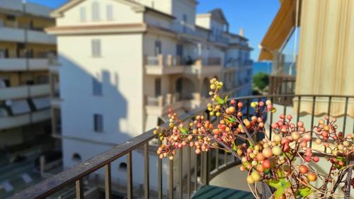 Alba Adriatica Apartment | Flat n 11 Vista Mare