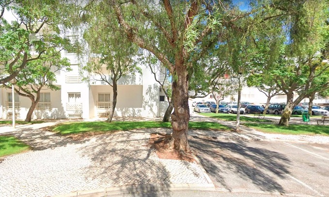 Ameijeira Apartment | Flat Via TorraltinhaL