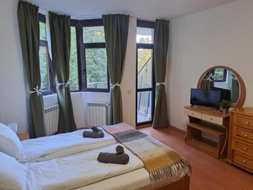Borovets Apartment | FLORA Apartment Hotel STUDIO 411