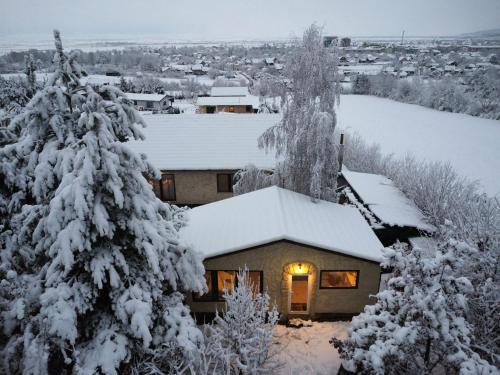 Covasna Villa | Forest Hide Tiny House