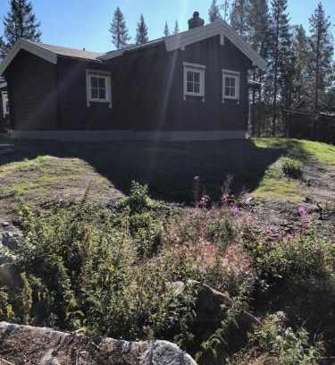 Hemsedal Cabin | Fresh Familie Hytte Hemsedal