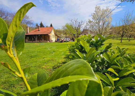 Petrovaradin House | Fruška house