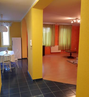 Dunafoldvar Apartment | Gábor Pál 1 Apartman 1 szoba