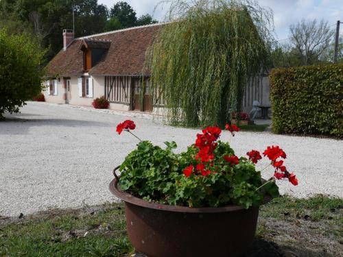 Cour-Cheverny House | Gîte chaleureux près des Châteaux de la Loire, avec terrasse, équipements de loisirs et pêche - FR-1-491-357