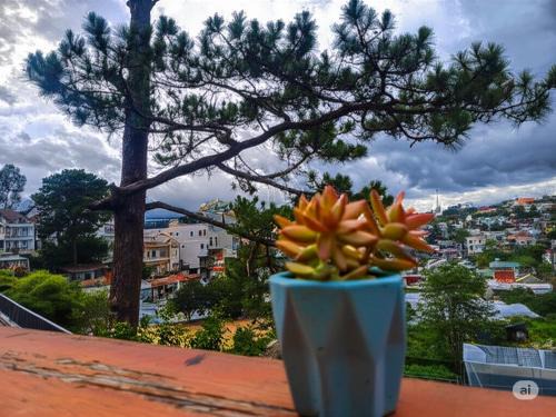 Da Lat Hotel | Góc Phố Vắng