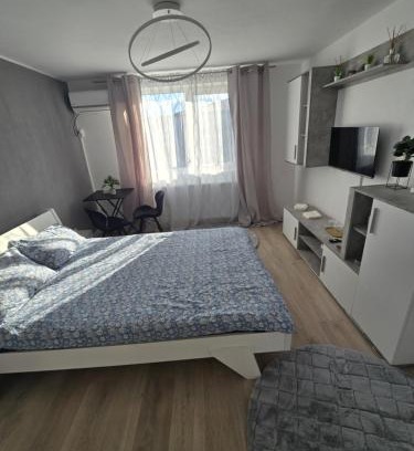 Timisoara Apartment | Garsoniera - moderna - Timișoara