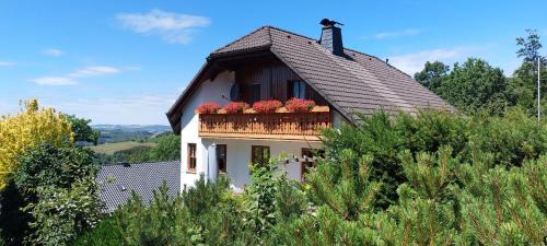 Holthausen Apartment | Gemütliche Nichtraucherwohnung Direkt Am Wald
