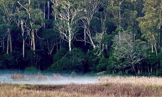 Murrah RV Rental | Glamping nature escape at ‘Black Wattle’ 5 minutes from pristine empty beaches