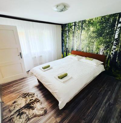 Novo Sarajevo Apartment | Green apartment Sarajevo