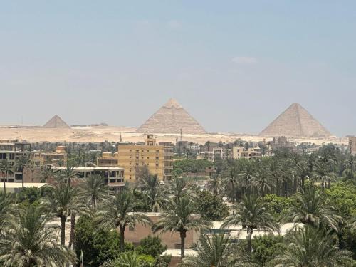 Giza Hotel | Green paradise view
