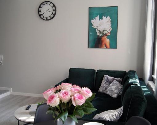 Torun Apartment | Green Park Apartament