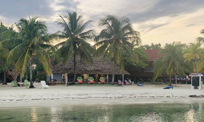 Placencia Hotel | Green Parrot Belize