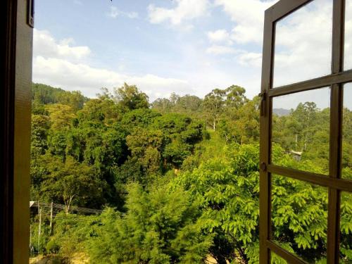 Ella Hotel | Green View Ella