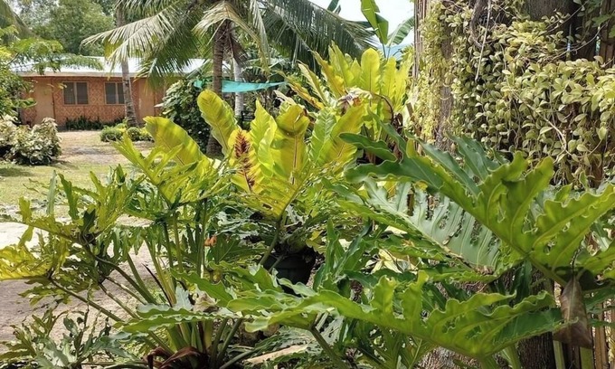 Panglao Hotel | GREENSPACE INN