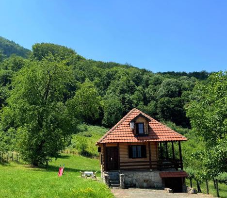Banja Koviljaca House | Gučevska Idila