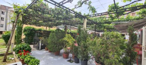 Maini House | Guest House Andrea