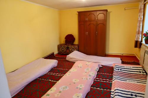 Naryn Region House | Guest House Kyzyl Dobo