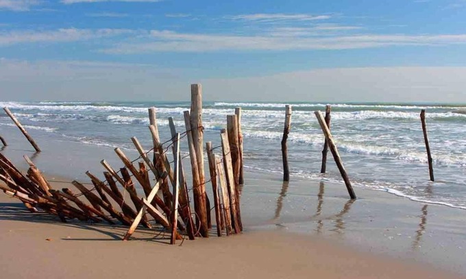 Saintes-Maries-de-la-Mer Hotel | Hôtel Le Neptune en Camargue