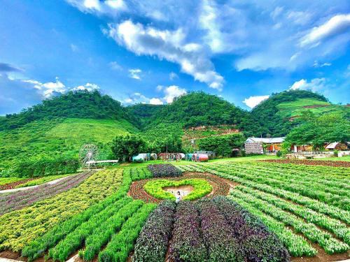 Moc Chau Hotel | Hùng Yến Hotel Mộc Châu 1