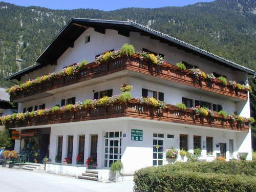 Obertraun House | Haus Alpenrose