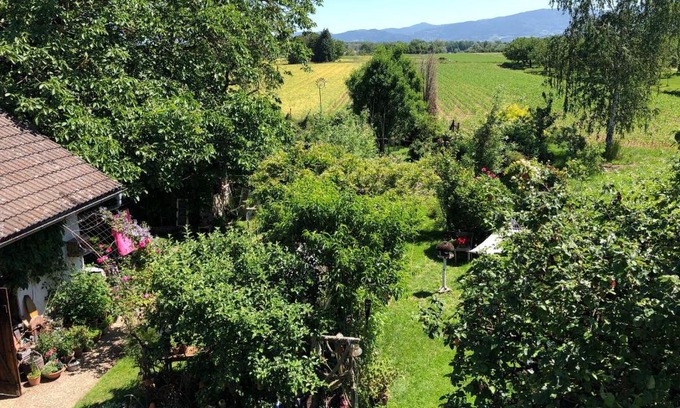 Achern Apartment | Haus Schwarzwaldblick