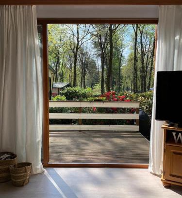 Bosgebied Hoenderloo Ski Chalet | Heerlijk chalet midden op de Veluwe in Hoenderloo