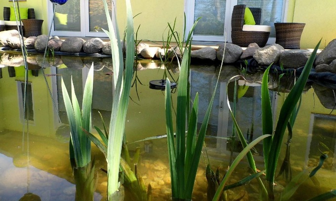 Neppermin Apartment | Holiday apartment Neppermin for 1 - 2 persons with 1 bedroom - Twin house