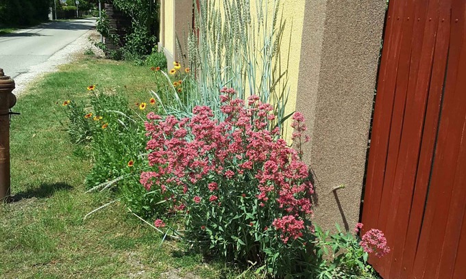 Siofok-Szabadifurdo Apartment | Holiday apartment with grill and garden pavilion