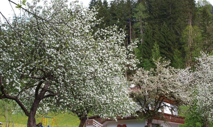 Helfenstein Other | Holiday house Hart im Zillertal for 1 - 7 persons with 3 bedrooms - Farmhouse