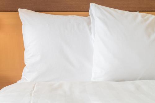 Crystal River Hotel | Holiday Inn Express Crystal River by IHG