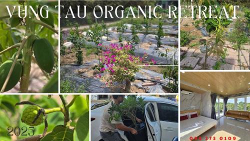 Phu My Apartment | Homestay Trảng Cát - Hắc Dịch -Phú Mỹ