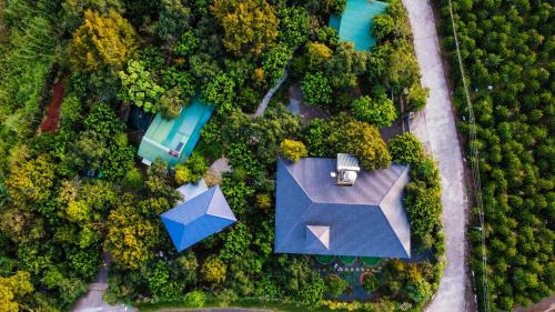 Bao Loc House | Homestay Vườn Trái Cây Nhiệt Đới VÔ ƯU GARDEN