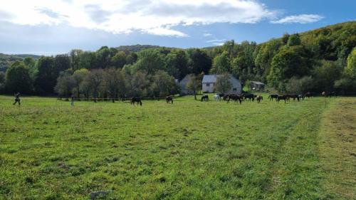Vrhovine House | Horse Trail Plitvice