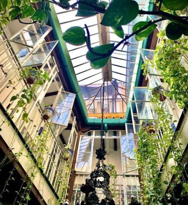 Alfalfa House | Hostal Lis