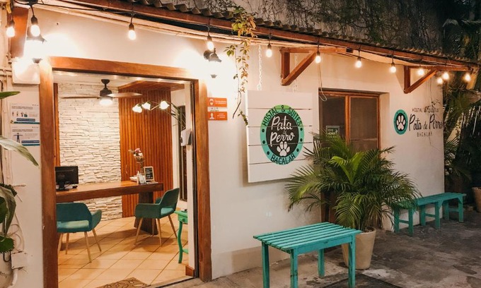 Centro Hostel | Hostal & Suites Pata de Perro